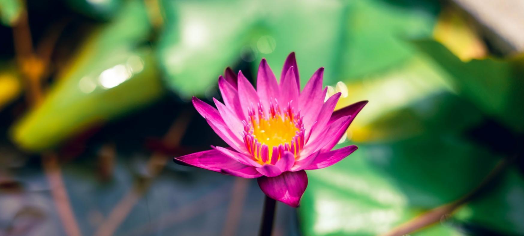 Sesión grupal de vinyasa flow en ambiente relajado